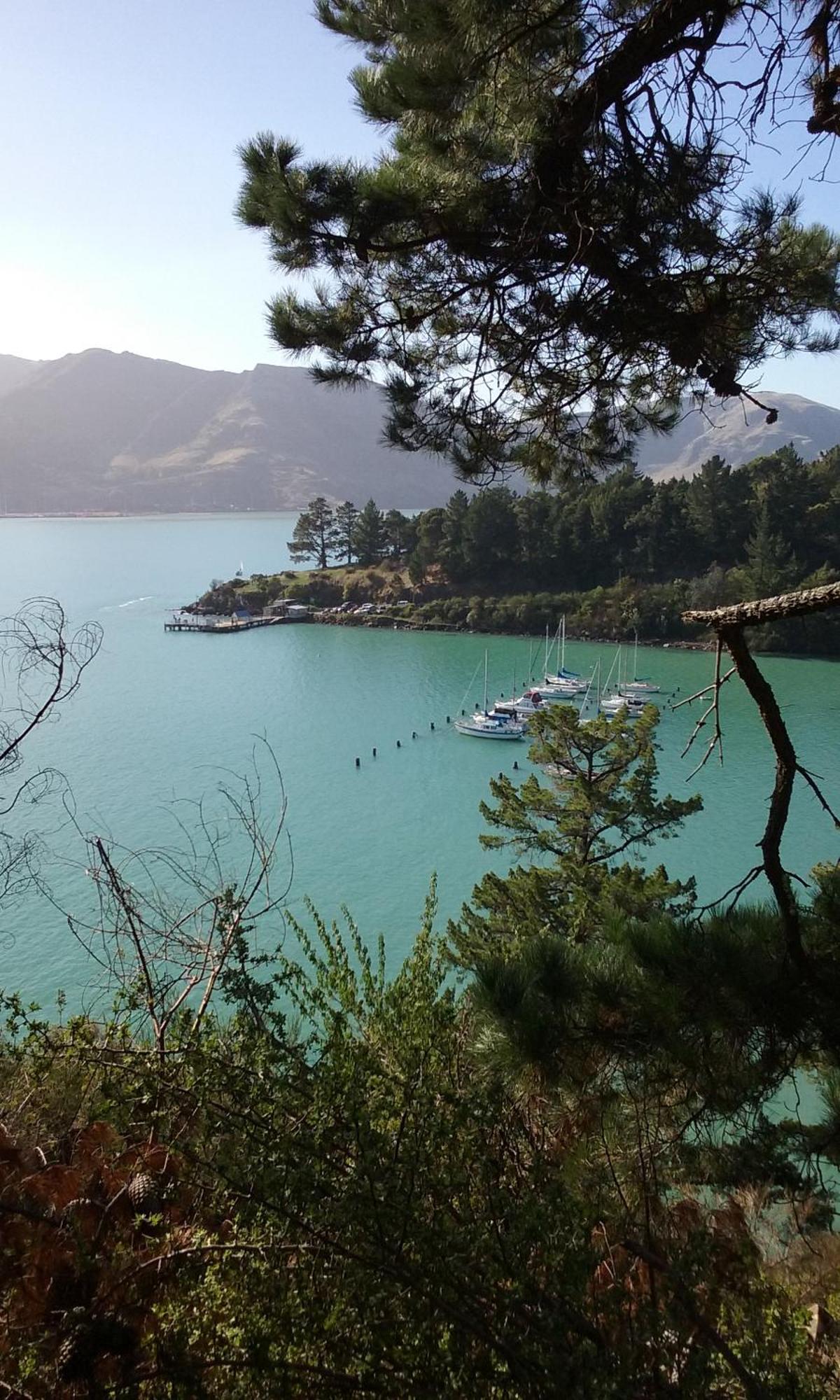 Magnolia Cottage Diamond Harbour Exterior photo