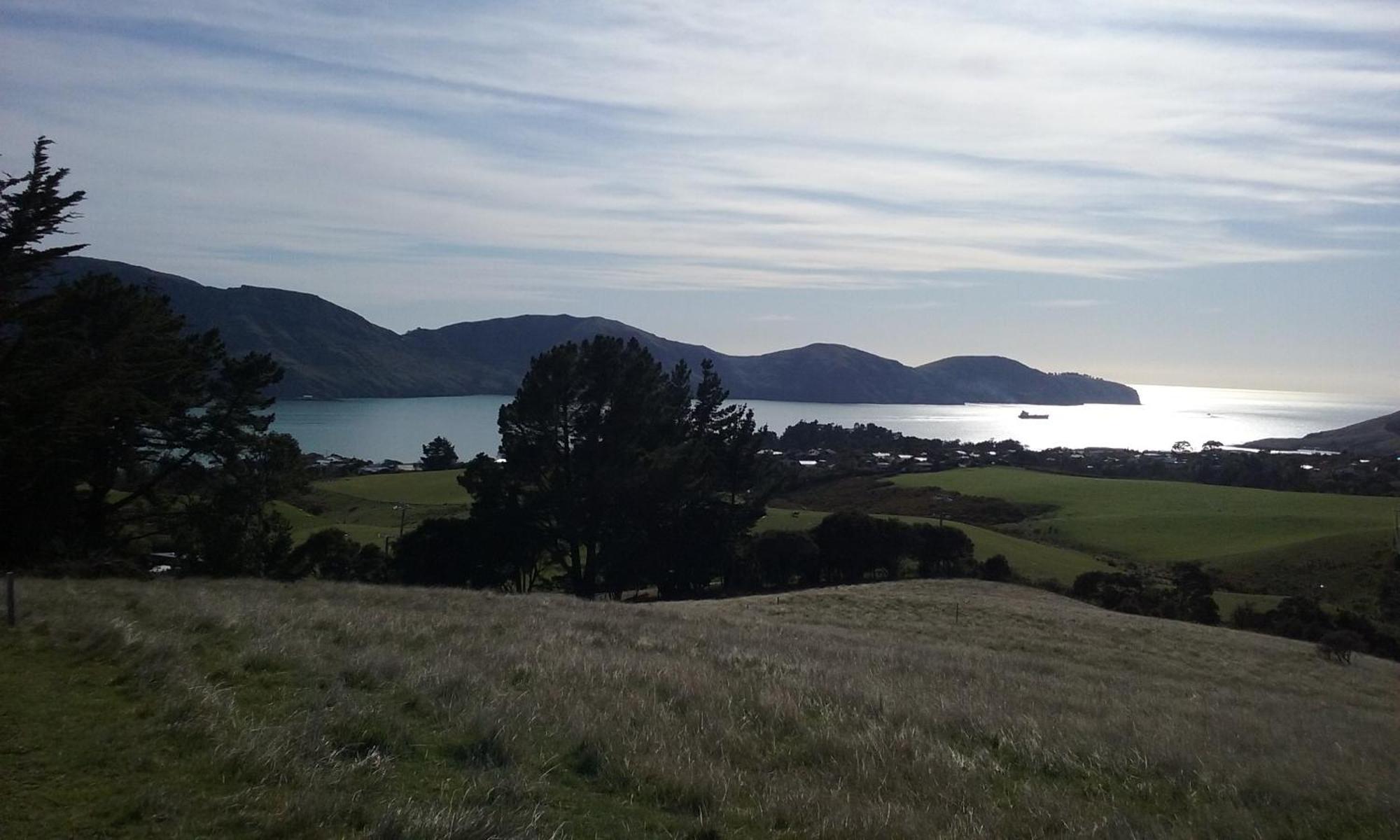 Magnolia Cottage Diamond Harbour Exterior photo