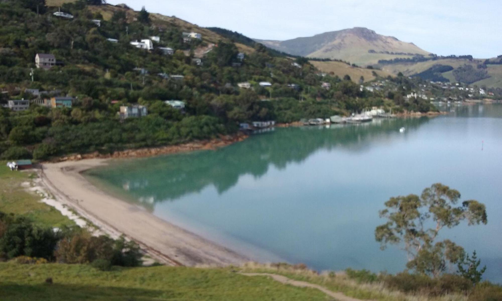 Magnolia Cottage Diamond Harbour Exterior photo
